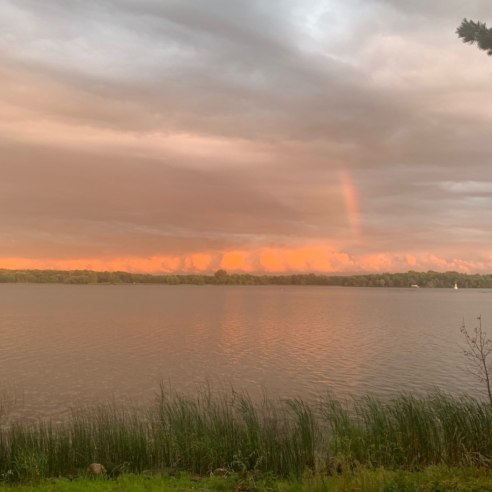 Meet your Posher, Eleanor
